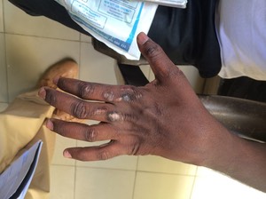 IMG 4850