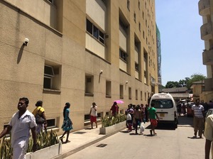 IMG 4901